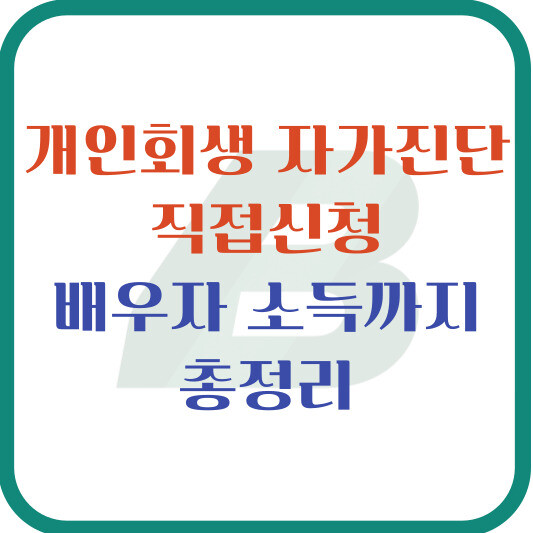 개인회생자가진단부터 직접신청, 배우자 소득
